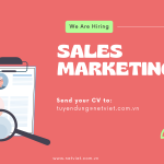 Sales Marketing Jobs - NetViet