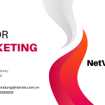 Tuyển dụng Senior Marketing HCM